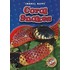 Coral Snakes