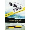 Crash Course door Daniel Darling