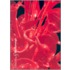 Dale Chihuly