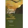 Gnosis en geloof in het vroege christendom by R. Roukema