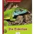 Die Eidechse