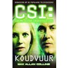 CSI : Koudvuur