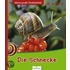 Die Schnecke