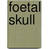 Foetal Skull door Onbekend