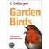 Garden Birds