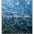 Gary Simmons
