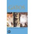 Gatos / Cats