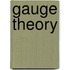 Gauge Theory