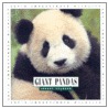 Giant Pandas door Lenore Franzen