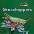 Grasshoppers