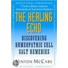 Healing Echo door Vinton McCabe