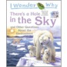 I Wonder Why by Sean Callery