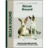 Ibizan Hound