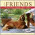 Just Friends