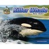 Killer Whale