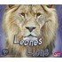 Leones/Lions