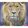 Leones/Lions by Catherine Ipcizade
