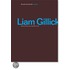Liam Gillick