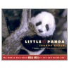 Little Panda by Joanne Ryder