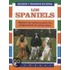 Los Spaniels