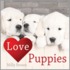 Love Puppies