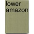 Lower Amazon