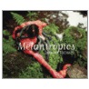 Melantropics by Ricardo Sardenberg