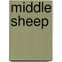 Middle Sheep