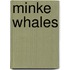 Minke Whales