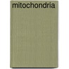 Mitochondria door Onbekend