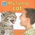 My Funny Cat
