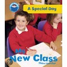 My New Class by Claire Llewelyn
