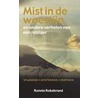 Mist in de woestijn