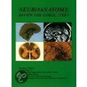 Neuroanatomy by Thomas A. Brown