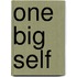 One Big Self