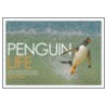 Penguin Life by Tracey Rich