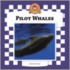Pilot Whales