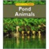 Pond Animals
