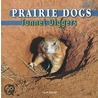 Prairie Dogs door Lynn George