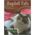 Ragdoll Cats