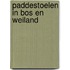 Paddestoelen in bos en weiland