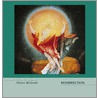 Resurrection door Alister MacGrath