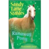 Runaway Pony by Susannah Leigh