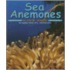 Sea Anemones