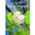 Sei gesegnet