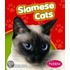 Siamese Cats