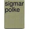 Sigmar Polke door Michael Juul Holm