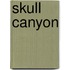 Skull Canyon
