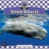 Sperm Whales