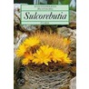 Sulcorebutia door Karl Augustin